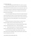 EL REGISTRO MERCANTIL