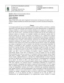 Ensayo acerca sobre sobre la legislación internacional y las leyes que en Ecuador