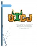 Diseño de la cadena de suministro Salazón