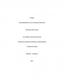 Ensayo Conceptualización de los mercados financieros