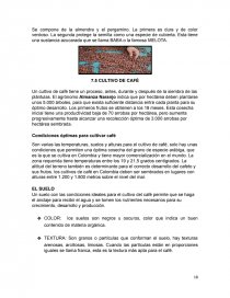 Planeacion para la investigacion de mercados. Página 19