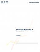 Derecho objetivo y su importancia