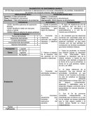 DIAGNÓSTICO DE ENFERMERÍA (NANDA)