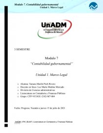 Modulo 7 “Contabilidad gubernamental”. Página 1