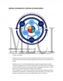 Glosario de terminos MECI