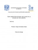 BIENESTAR INTEGRAL REFLEJADO EN LA CALIDAD DE VIDA LABORAL