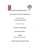 El directivo y la organizacion