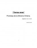 Tierras raras Chile