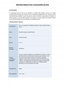 PROCESOS PRODUCTIVOS Y APLICACIONES DEL ORO