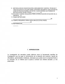 Planeacion para la investigacion de mercados. Página 3