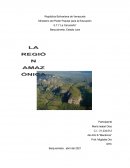 La Amazonia