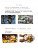 Un ejemplo es la Contaminación hídrica