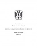 BRECHA SALARIAL DE GÉNERO EN MÉXICO