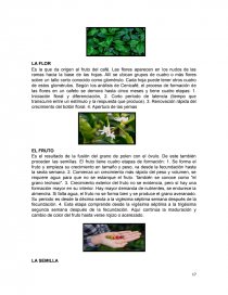 Planeacion para la investigacion de mercados. Página 18