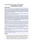 LOS MATERIALES Y EL CALOR - LOS MATERIALES