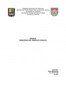 PRINCIPIOS DEL DERECHO PÚBLICO