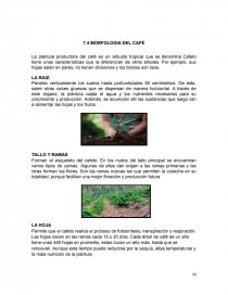 Planeacion para la investigacion de mercados. Página 17