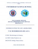 INFORME DE PRÁCTICA DE LABORATORIO N˚10: MICROBIOLOGÍA DEL AGUA