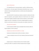 ¿Qué es la Homeostasis?