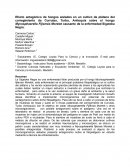 Efecto antagónico de hongos aislados en un cultivo de plátano del corregimiento de Currulao, Turbo, Antioquia sobre el hongo Mycosphaerella Fijiensis Morelet causante de la enfermedad Sigatoka Negra.