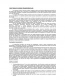 FRACTURAS DE CADERA TRANSCERVICALES