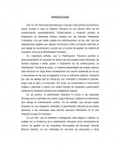 IMPUESTOS MUNICIPALES