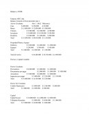 Balance y EERR Empresa ABC Ltda