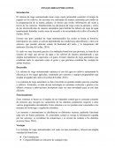 ENSAYO RIEGO POR GOTEO