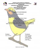 PLAN DE NEGOCIOS “LOS TURPIALES”