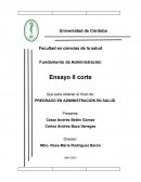 Los impactos de la descentralización en la salud equidad, eficiencia y resiliencia del sistema: una síntesis de la evidencia