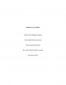 Análisis de Acto Jurídico