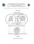 ENSAYO SOBRE RUC REGIMEN GENERAL, RISE Y REGIMEN MICROEMPRESA