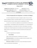 Niveles de Organización de los Organismos y su relación con la Biología
