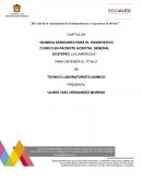 QUIMICA SANGUINEA PARA EL DIAGNOSTICO CLINICO EN PACIENTE HOSPITAL GENERAL ECATEPEC LAS AMERICAS