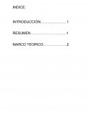 Sistema de costos empresa CellFusion