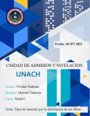 Tipos de musculo por la distribución de sus fibras