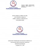 ENSAYO SOBRE FEMENICIDIO, HOMICIO POR PIEDAD Y LA EUTANACIA