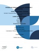 Ecuaciones diferenciales con solución única. Ejemplos