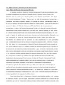 Conceptos, condicionantes y objeto de DIP