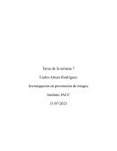 INVESTIGACION EN PREVENCION DE RIESGOS