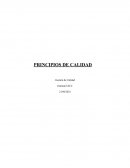 Principios de calidad