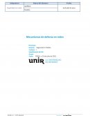 Mecanismos de defensa en redes