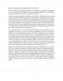 Ruta del Plástico - Documental