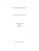 AUTOMOTORA FRENOS Y SERVICIOS