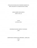 ANÁLISIS DE LA COMUNICACIÓN NO VERBAL