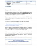 Análisis dinámico de malware