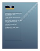 Analisis del caso jurisprudencia y las tecnicas juridicas