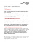 Alegoria de la caverna, analisis