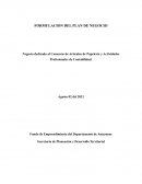 FORMULACION DEL PLAN DE NEGOCIO