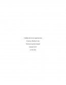 Calidad total en las organizaciones RÁPIDO S.A